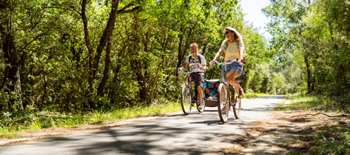 Activités incontournables autour du Verdon sur Mer